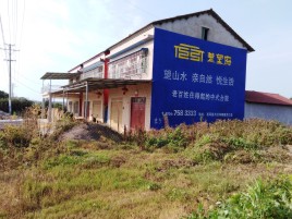 驻马店必须知道的墙体广告形势