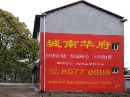 驻马店百分之90的人都不了解的农村墙体广告