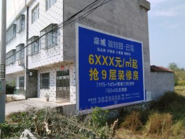 驻马店墙体广告质量分析