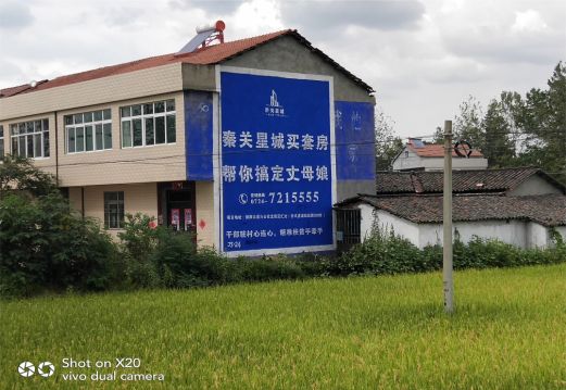 驻马店决定墙体广告价格的因素有哪些？