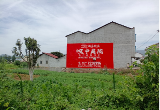 驻马店做墙体广告的意义